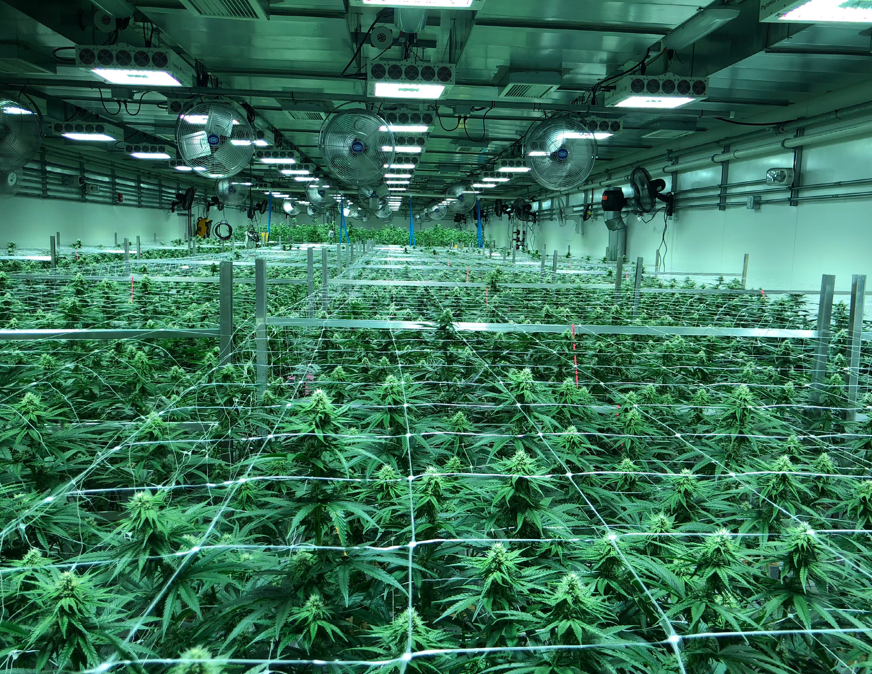 PhytoMAX-4 24 1500 W - CannaFull Spectrum Solutions