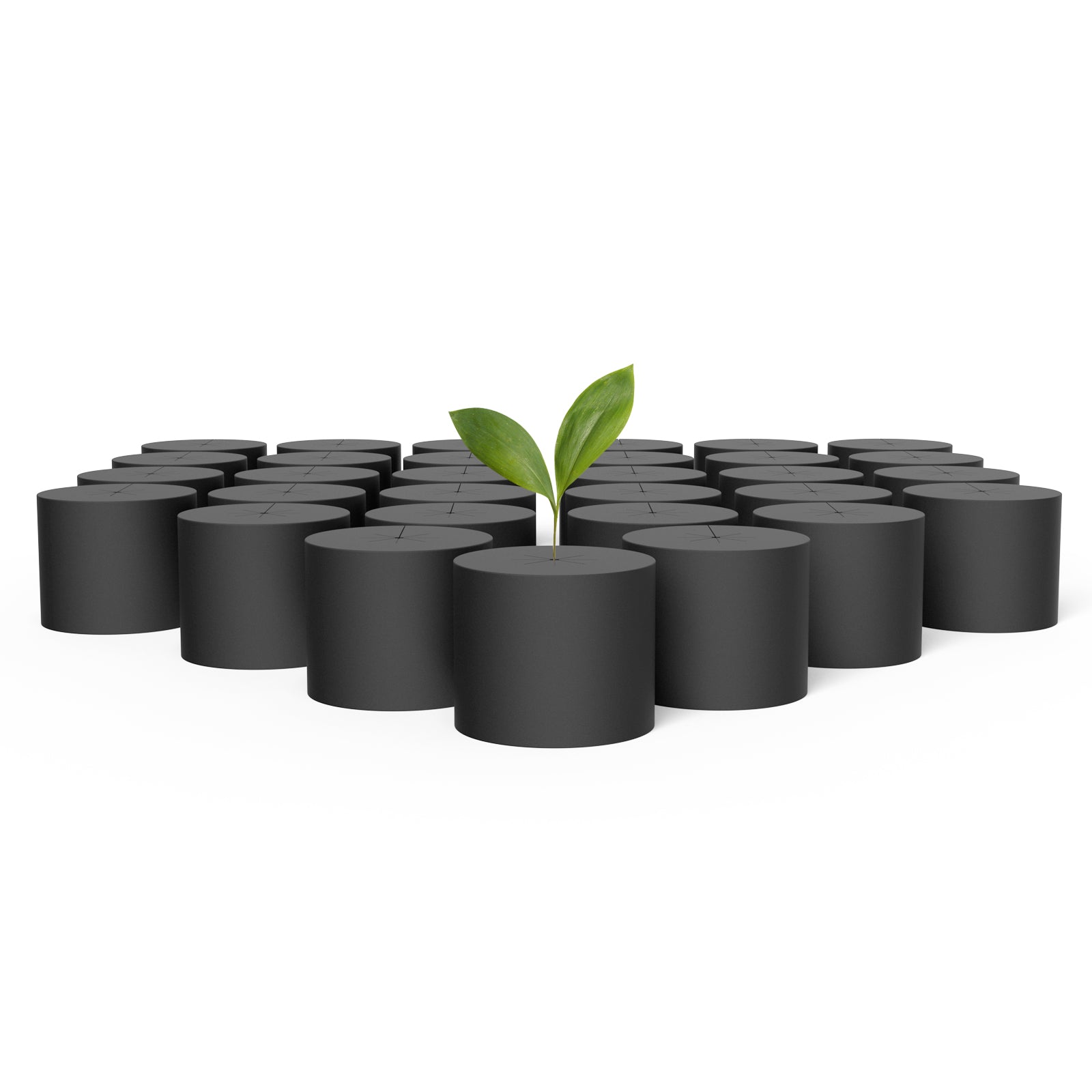 AC Infinity Clone Collars |  Disc Inserts with 8-Spoke Design |  4-Inch |  50-Pack - CannaFull Spectrum Solutions