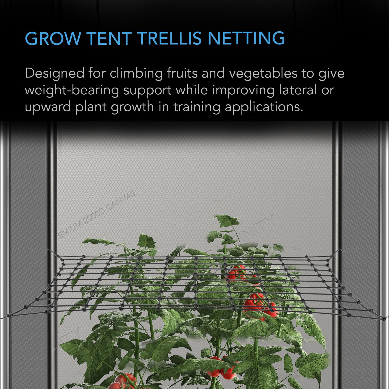 AC Infinity Grow Tent Trellis Netting |  Flexible Elastic Cords |  2x4’ - CannaFull Spectrum Solutions