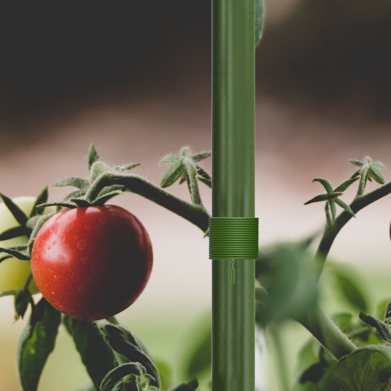 AC Infinity Green Twist Ties with Built-In Cutter |  100m - CannaFull Spectrum Solutions