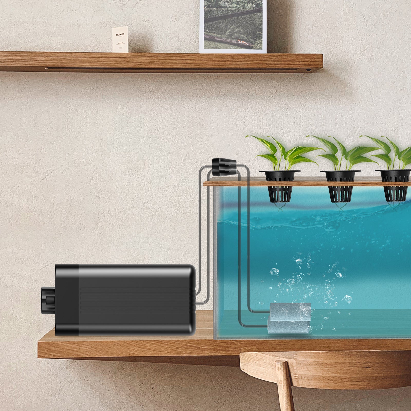 AC Infinity Hydroponics Air Pump |  Two-Outlet Pumping Kit |  45 GPH (2.8 L/M) - CannaFull Spectrum Solutions