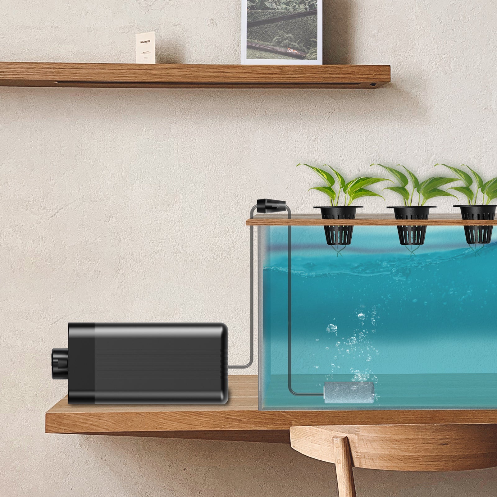 AC Infinity Hydroponics Air Pump |  One-Outlet Pumping Kit |  24 GPH (1.5 L/M) - CannaFull Spectrum Solutions