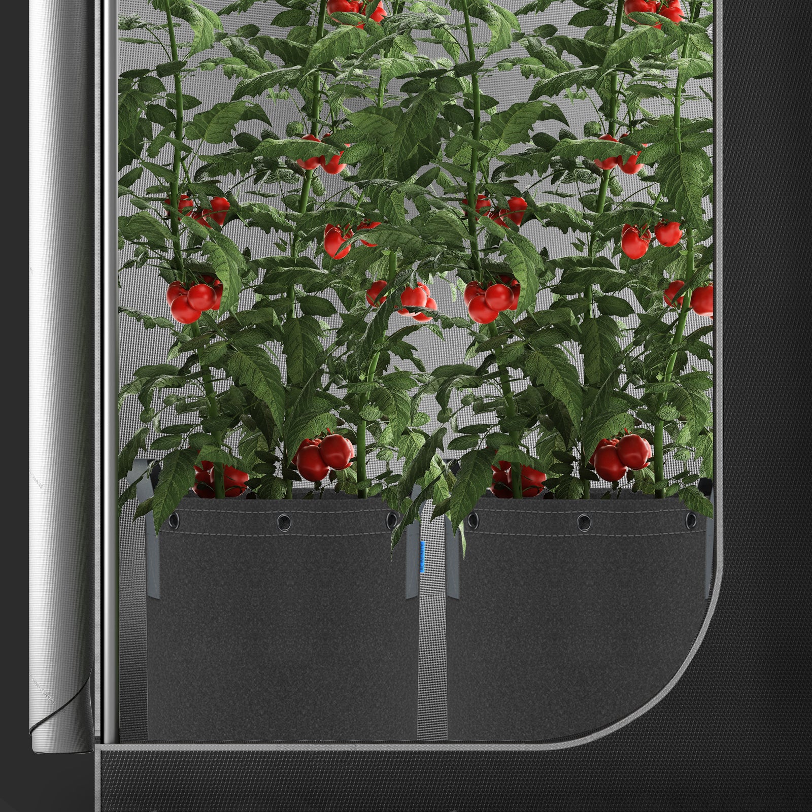 AC Infinity Heavy Duty Reusable Fabric Pots |   10 Gallon |  5-Pack - CannaFull Spectrum Solutions