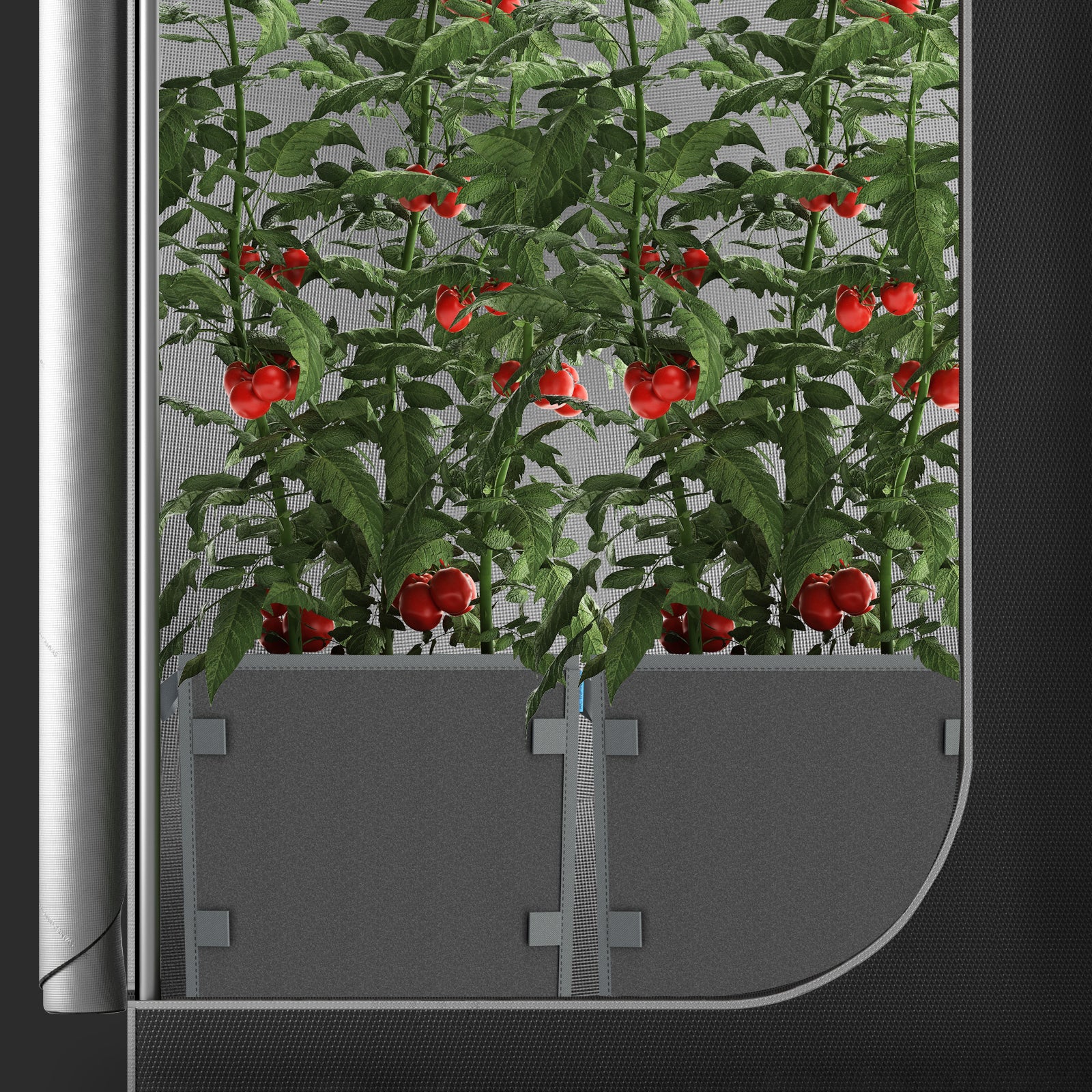 AC Infinity Heavy Duty Reusable Square Fabric Pots |   3 Gallon |  5-Pack - CannaFull Spectrum Solutions