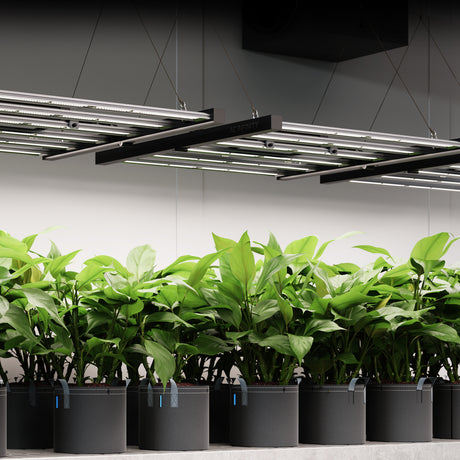 AC Infinity IONFRAME EVO10 Commercial LED Grow Light 1000W - CannaFull Spectrum Solutions