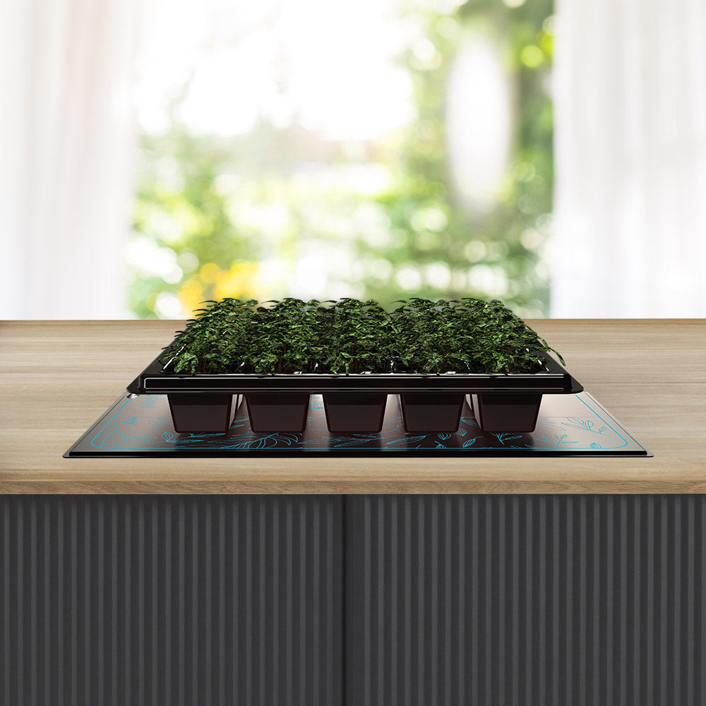 AC Infinity SUNCORE A3X2 |  Dual Seedling Heat Mats with Heat Controller |  IP-67 Waterproof |  10" x 20.75" - CannaFull Spectrum Solutions