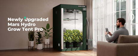 Nylon Mars Hydro Grow Tent with Reflective Mylar, Black/Green, 70.9