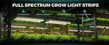 Mars Hydro VG40 40W T5 Clone Light | Daisy-Chain 32 Units - image 1