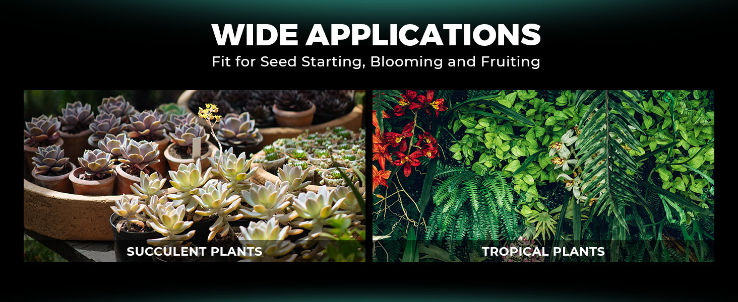 Mars Hydro VG80 Clone Light - image 8