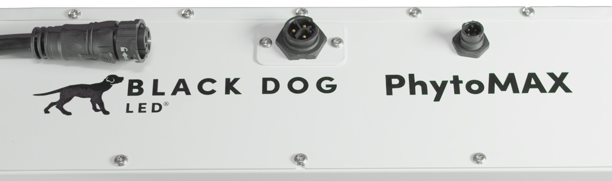 Black Dog LED PhytoMAX-4 2S 125W Commercial LED Grow Light | High-Intensity Series