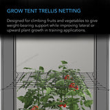 AC Infinity Grow Tent Trellis Netting |  Flexible Elastic Cords |  2x2’ - CannaFull Spectrum Solutions