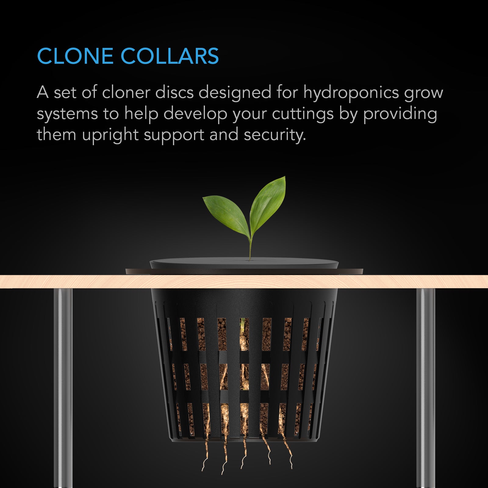 AC Infinity Clone Collars |  Disc Inserts with 8-Spoke Design |  2-Inch |  100-Pack - CannaFull Spectrum Solutions