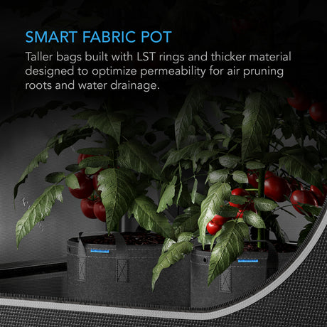 AC Infinity Heavy Duty Reusable Fabric Pots |   15 Gallon |  5-Pack - CannaFull Spectrum Solutions