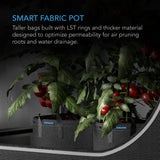 AC Infinity Heavy Duty Reusable Fabric Pots |   3 Gallon |  5-Pack - CannaFull Spectrum Solutions