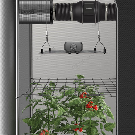 AC Infinity Grow Tent Trellis Netting |  Flexible Elastic Cords |  5x5’ - CannaFull Spectrum Solutions