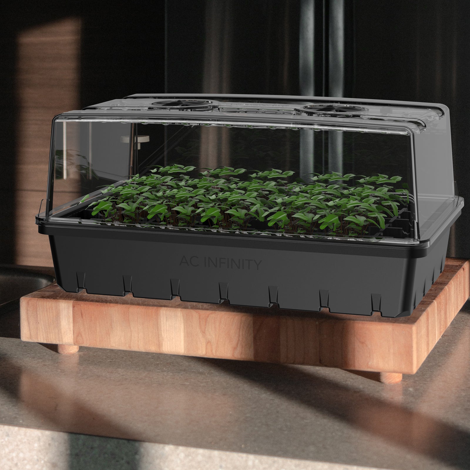 AC Infinity Humidity Dome |  Propagation Kit with Height Extension |  5x8 Cell Tray - CannaFull Spectrum Solutions