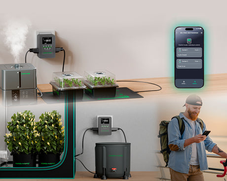 Mars Hydro Grow Room Glasses - image 8