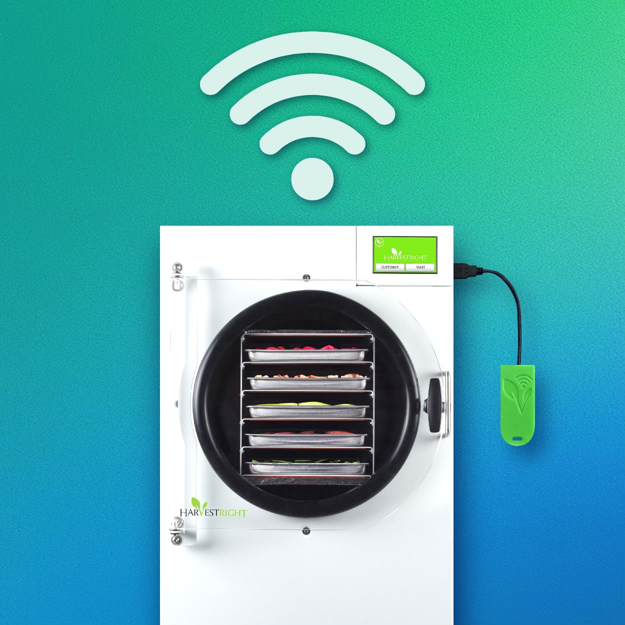 WD-02 product image 5