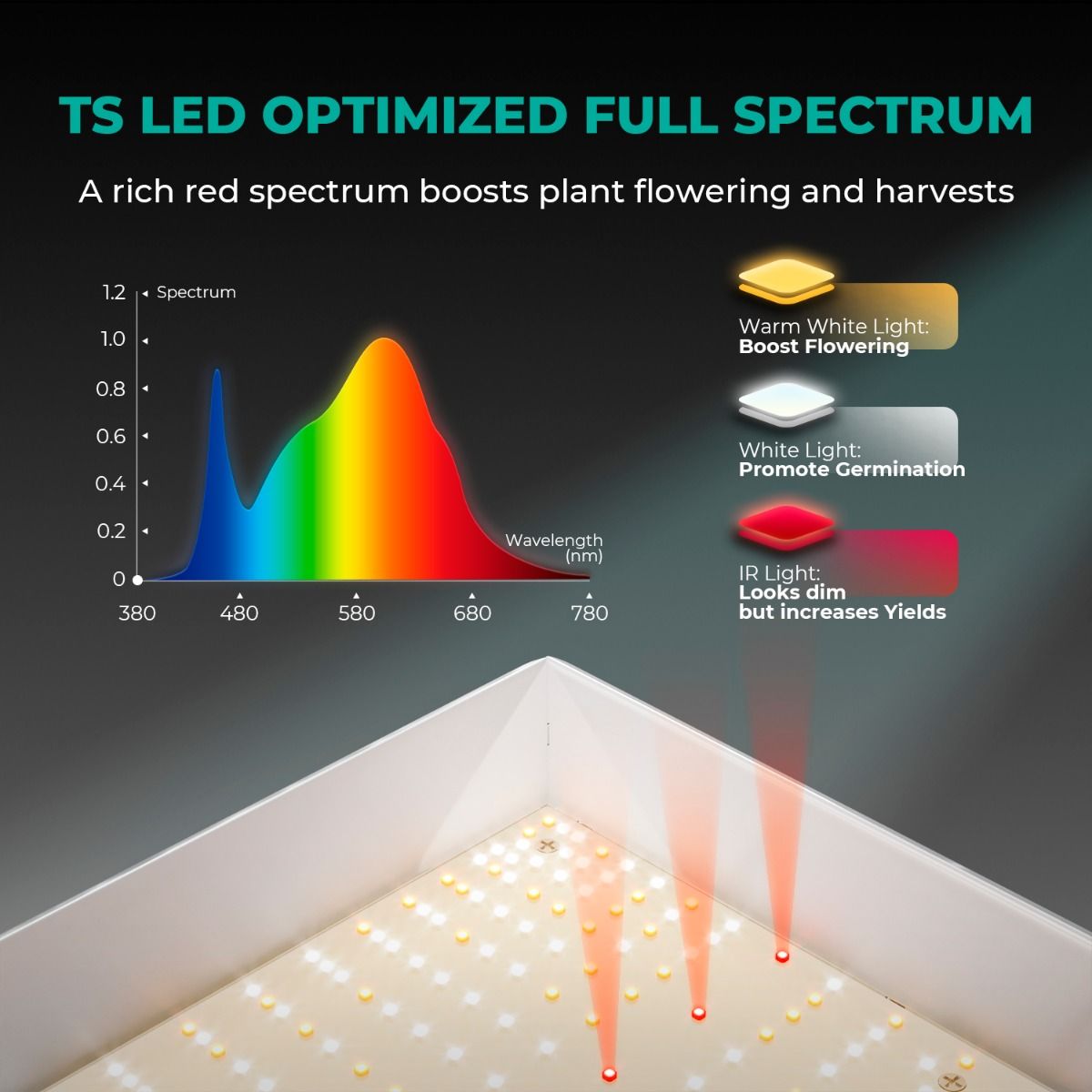 Mars Hydro TS-600 Kits 100W Complete Grow Kit | 2.0 μmol/j PPE - image 6