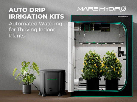 Mars Hydro DWC Hydroponic System Kit - image 5